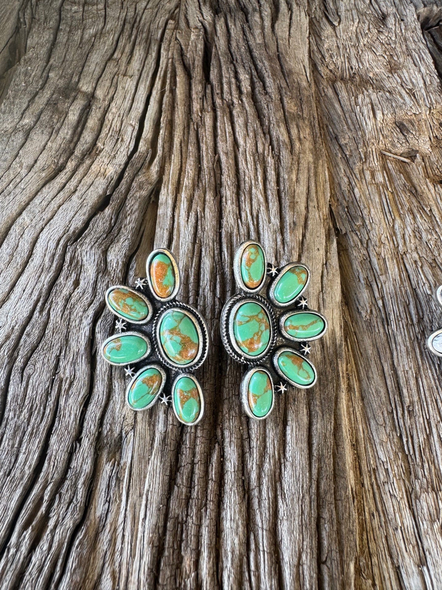 The Canyons Earrings