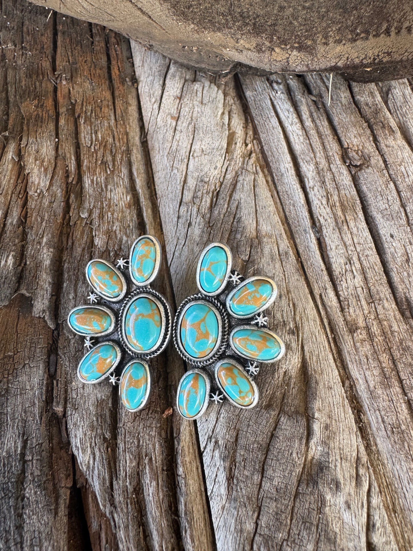 The Canyons Earrings