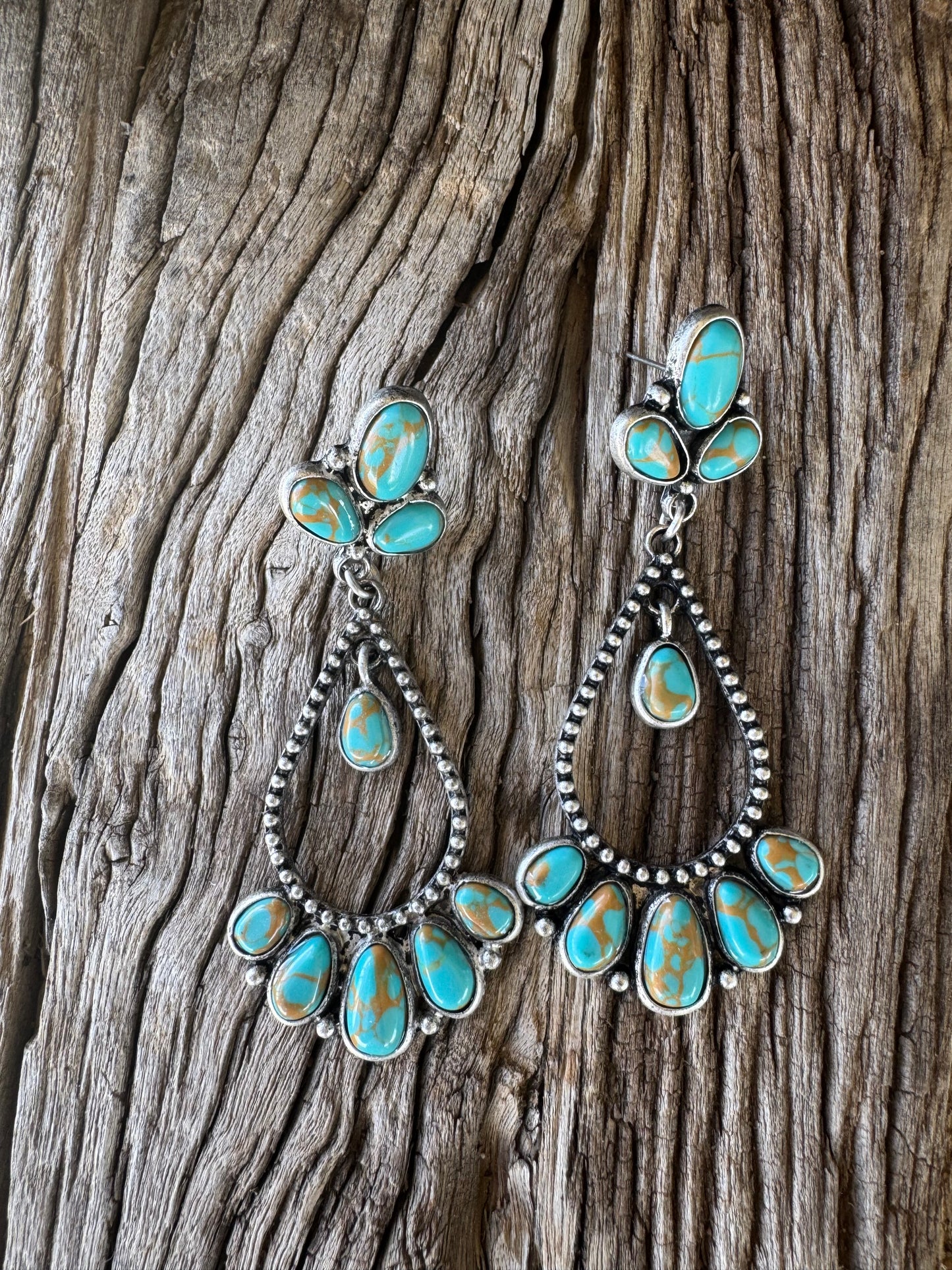 Rodeo Darlin Earrings