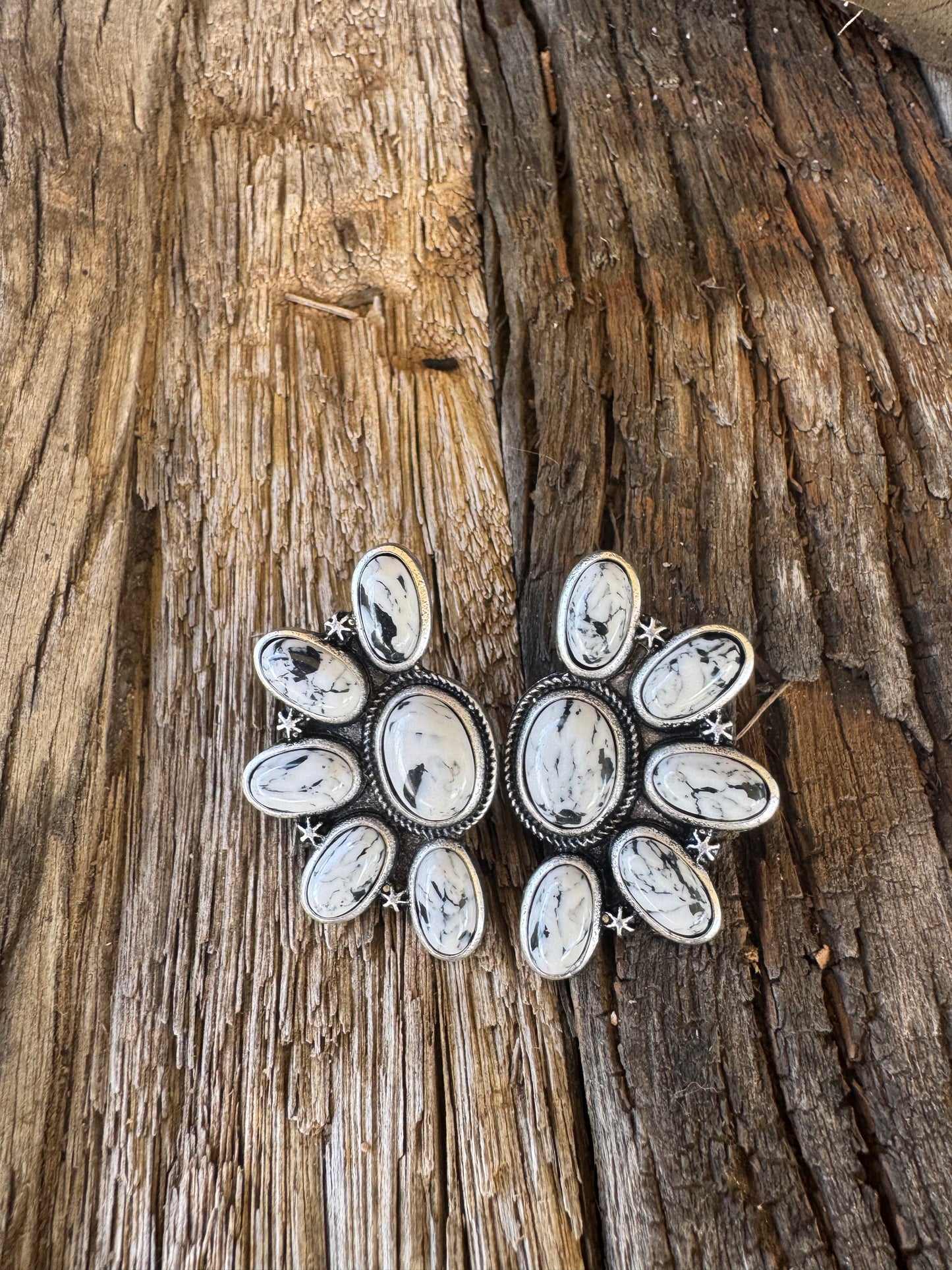The Canyons Earrings