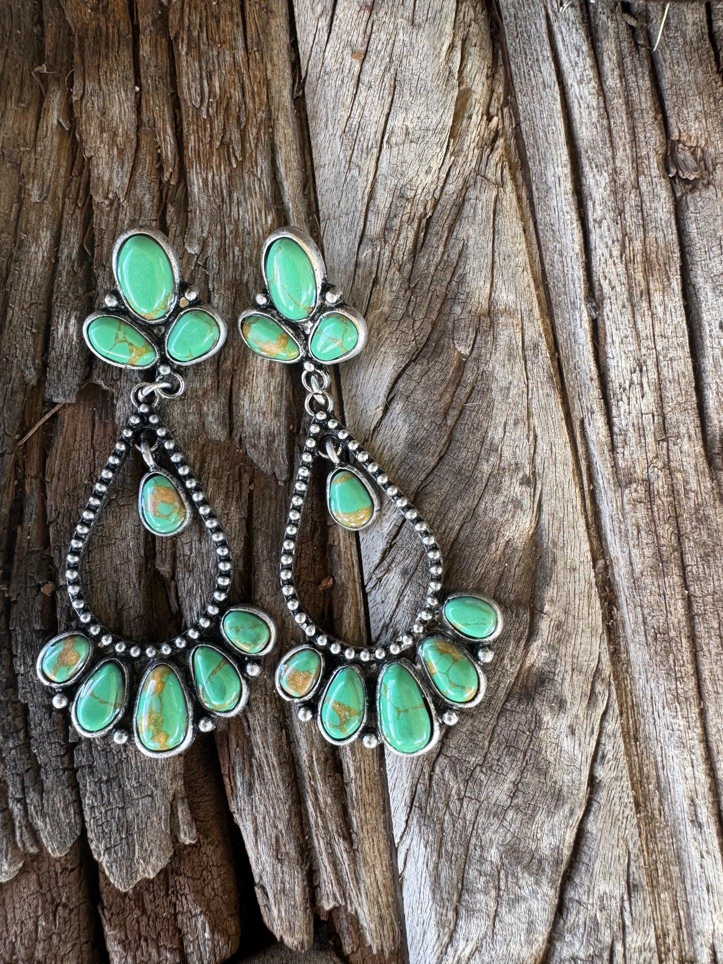 Rodeo Darlin Earrings