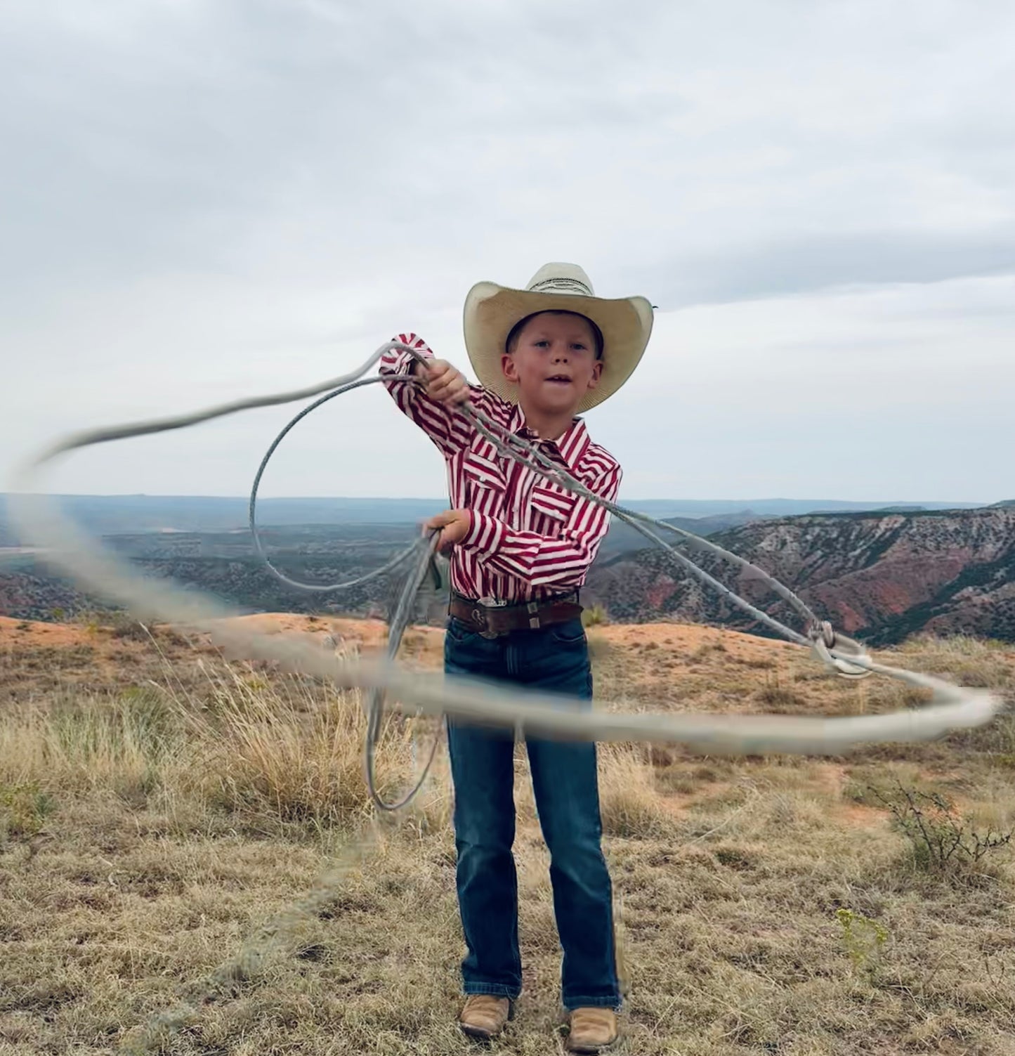 Red Striped Cowkid Pearl Snap
