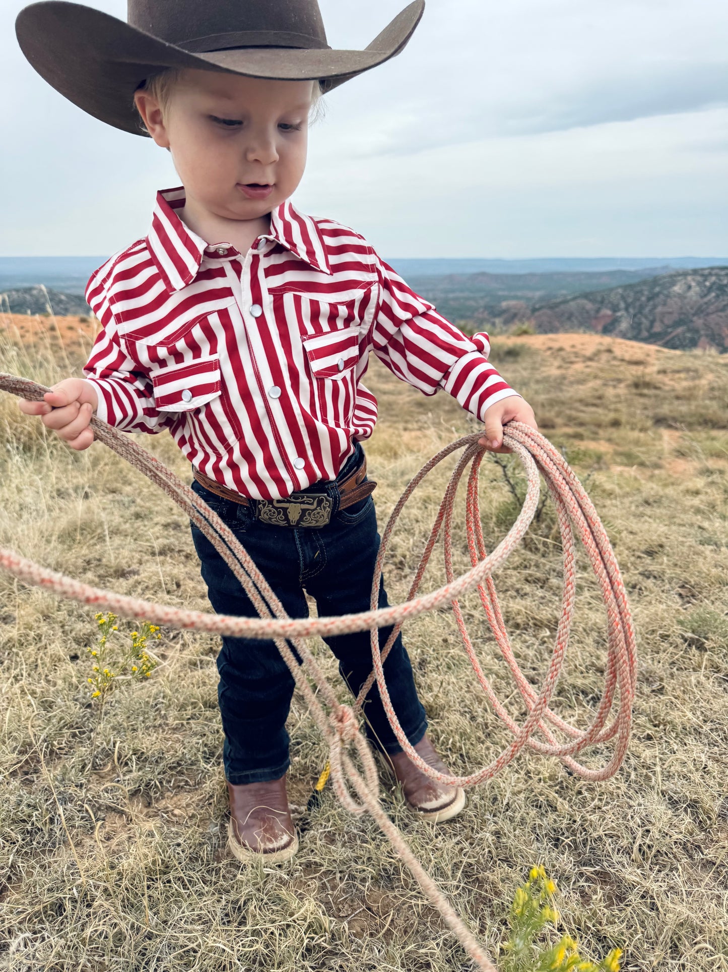 Red Striped Cowkid Pearl Snap