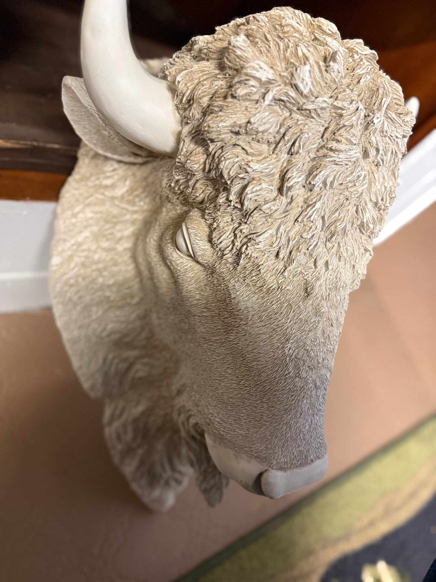 White Bison head