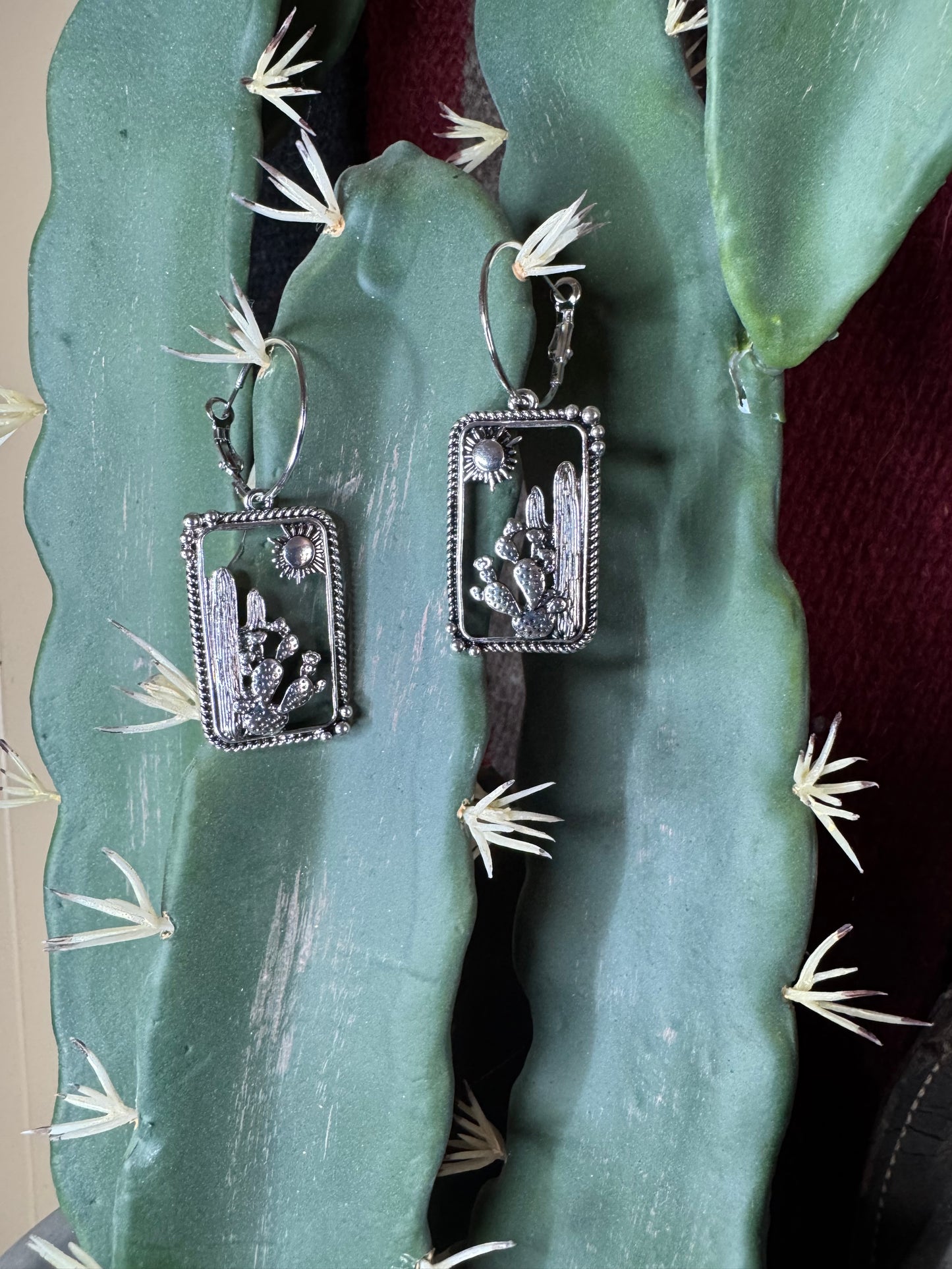 Arizona Desert Earrings