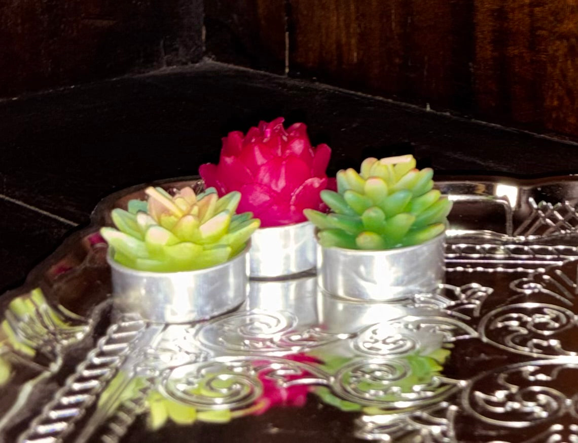 Succulent T-light