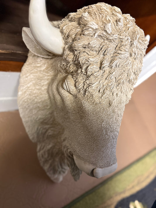 White Bison head