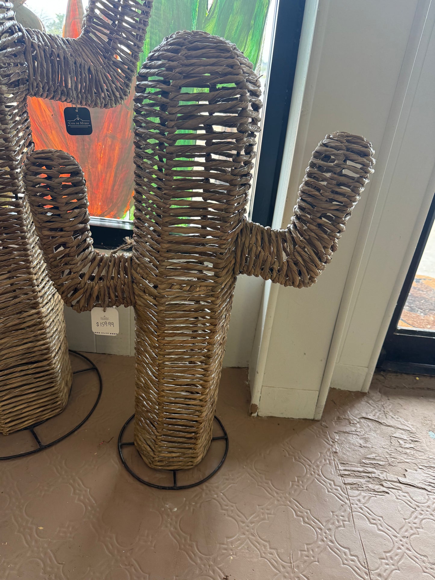 Small cactus