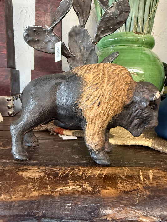 Brown bison