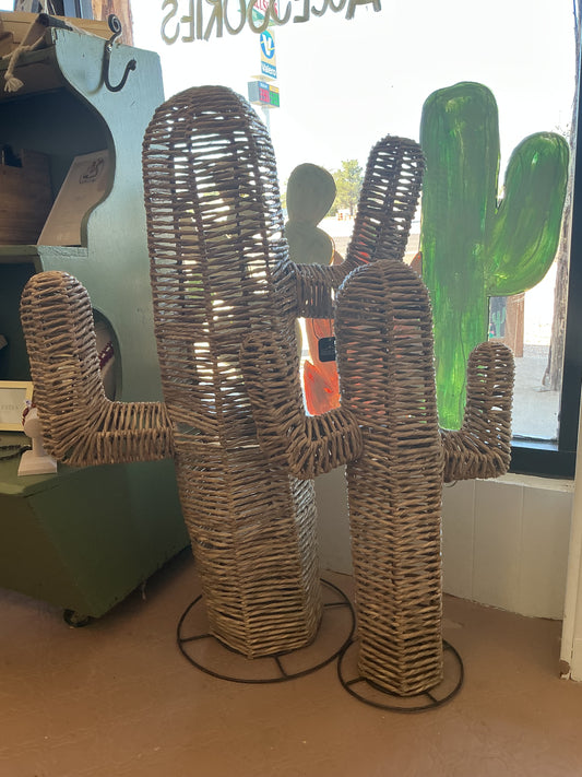 Rope Cactus