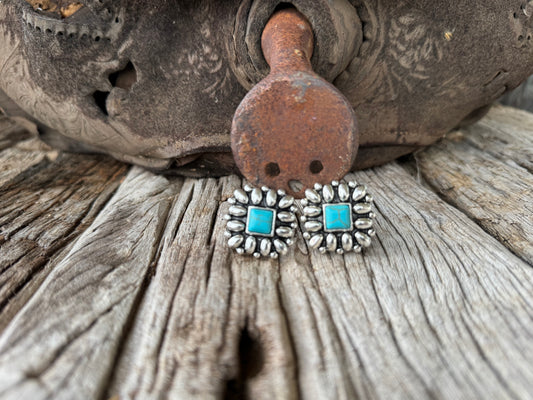 Rio Rancho Earrings