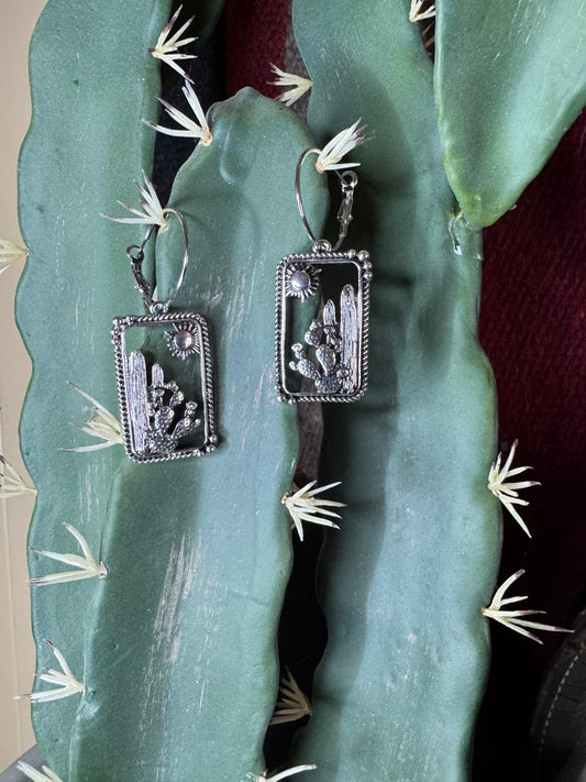 Arizona Desert Earrings