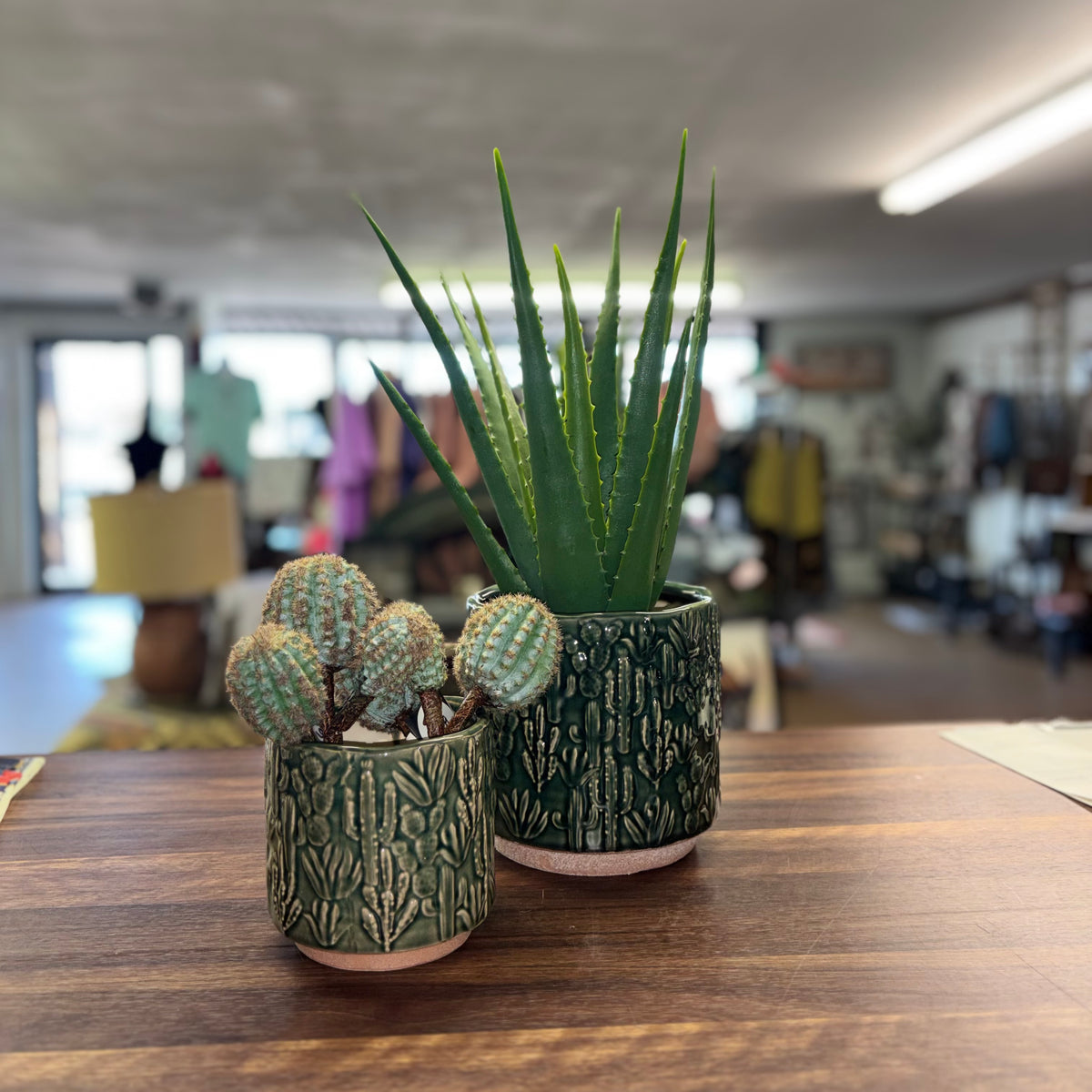 Cactus Planters- Small & Large