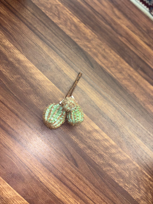 Barrel Cactus Pick