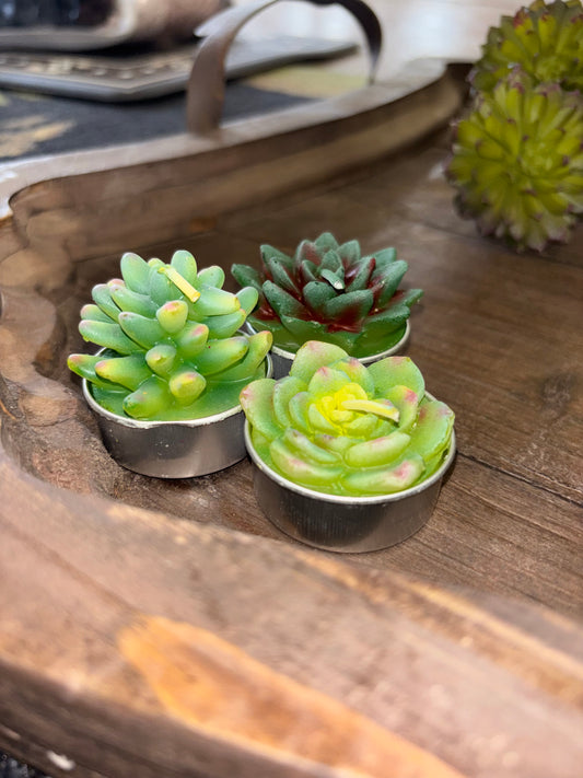 Green Succulent T-Light