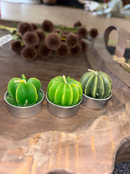 Circle Cactus T-Lights