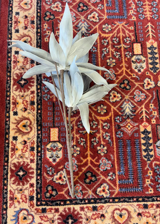 White Sage